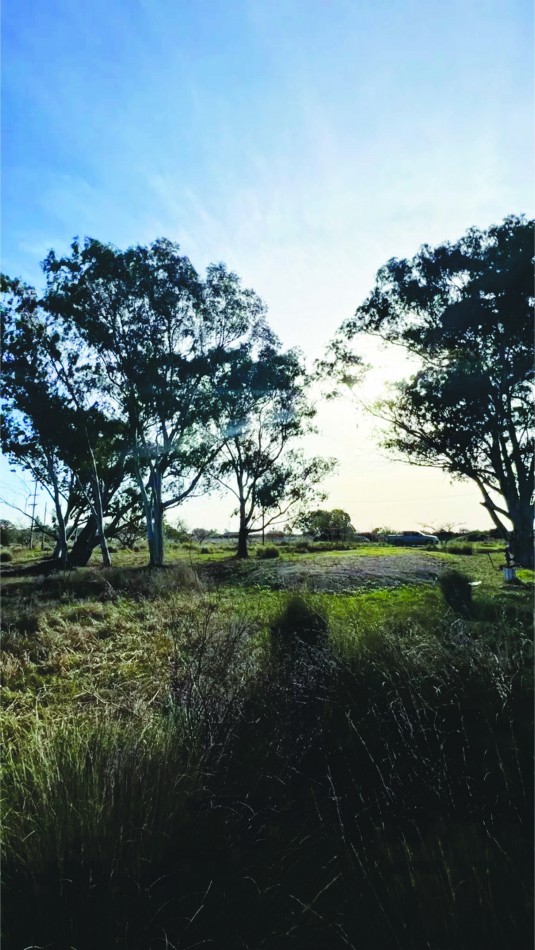LOTE - VENTA - PUNTA DEL INDIO LA ESCONDIDA