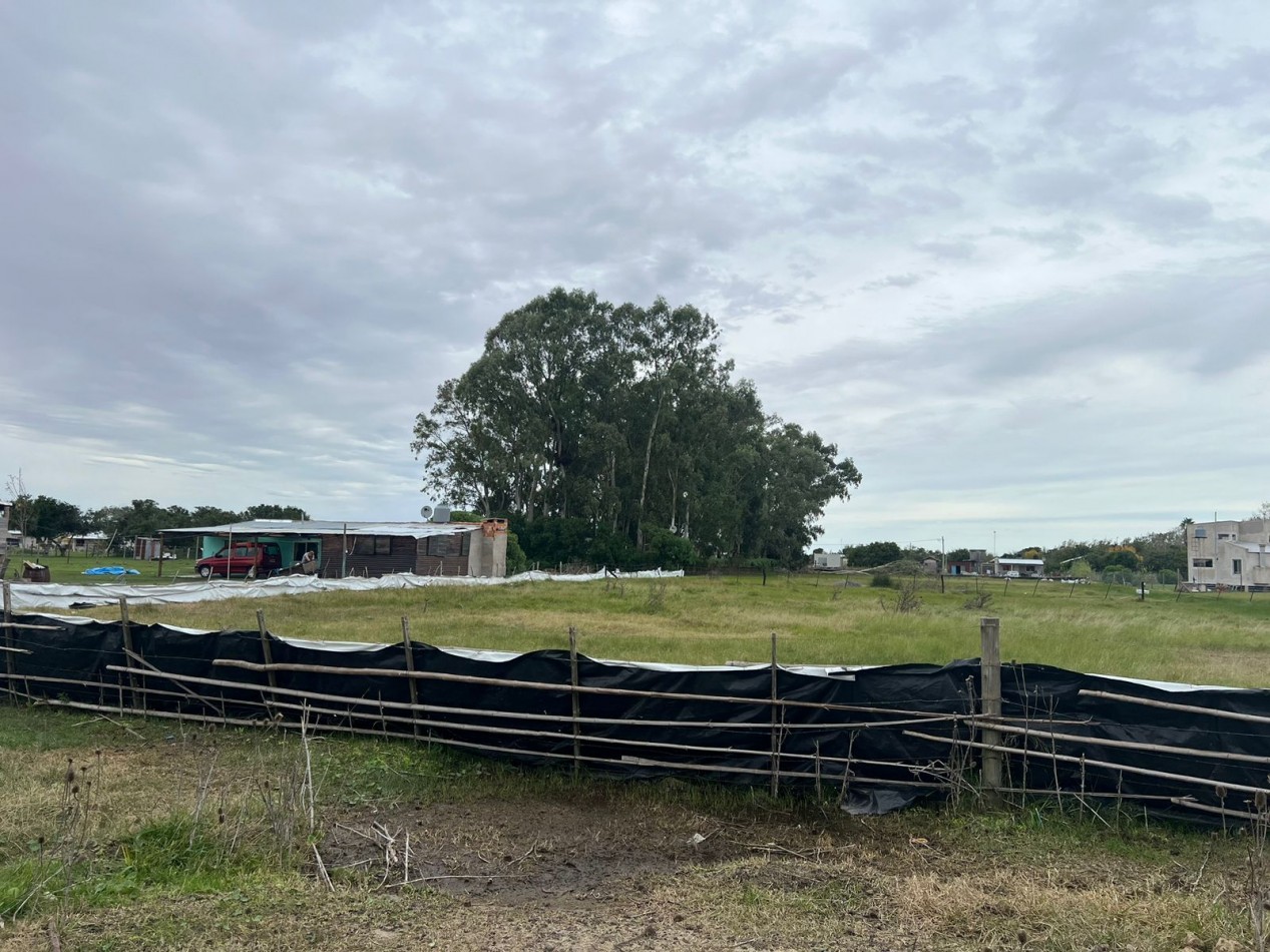 VENTA - OPORTUNIDAD lote 1.000m² Punta del Indio T-788