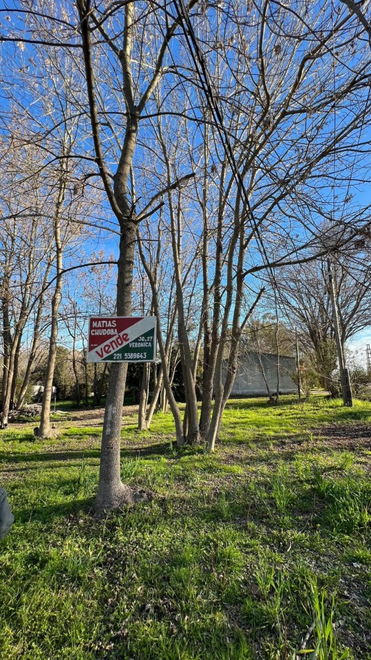 VENTA EN PIPINAS Lote  T-775