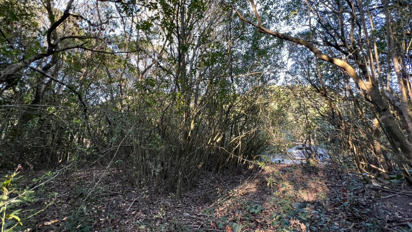 VENTA Lote Punta Del Indio - Zona Sarandi T- 769