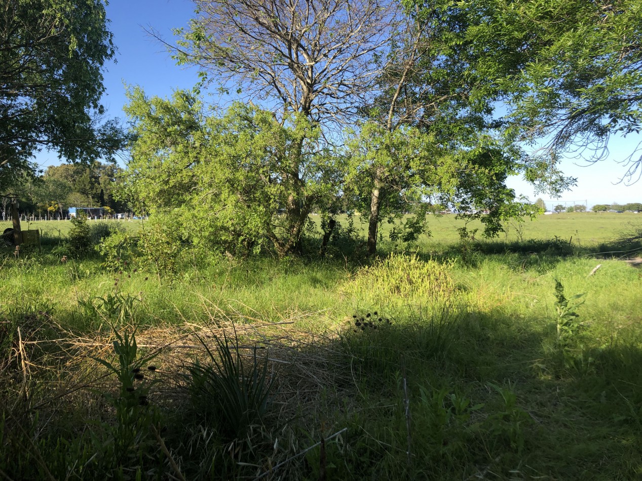 VENTA Retasado!!! Lote Punta Del Indio T-734 