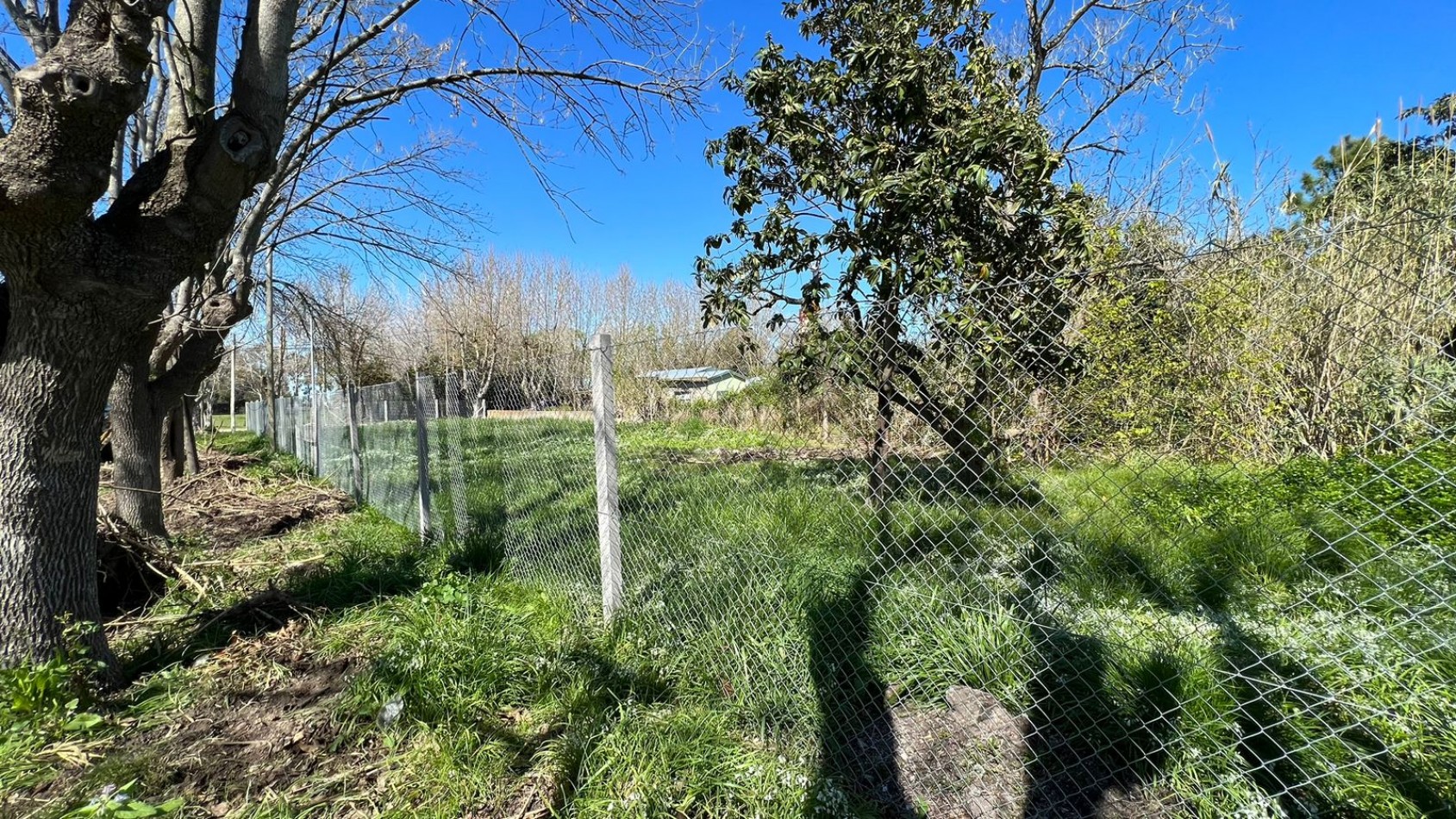VENTA Pipinas Lote en esquina 15 X 50 T-777