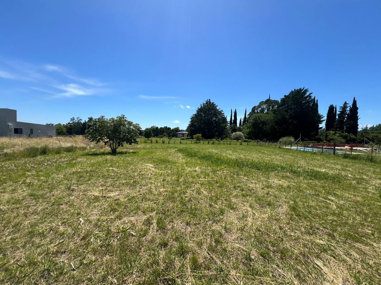 VENTA  Lote en Veronica 700m² T-783