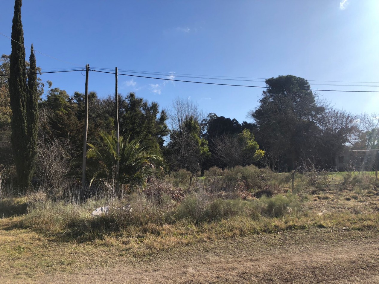 VENTA VERONICA LOTE  800m² T-737