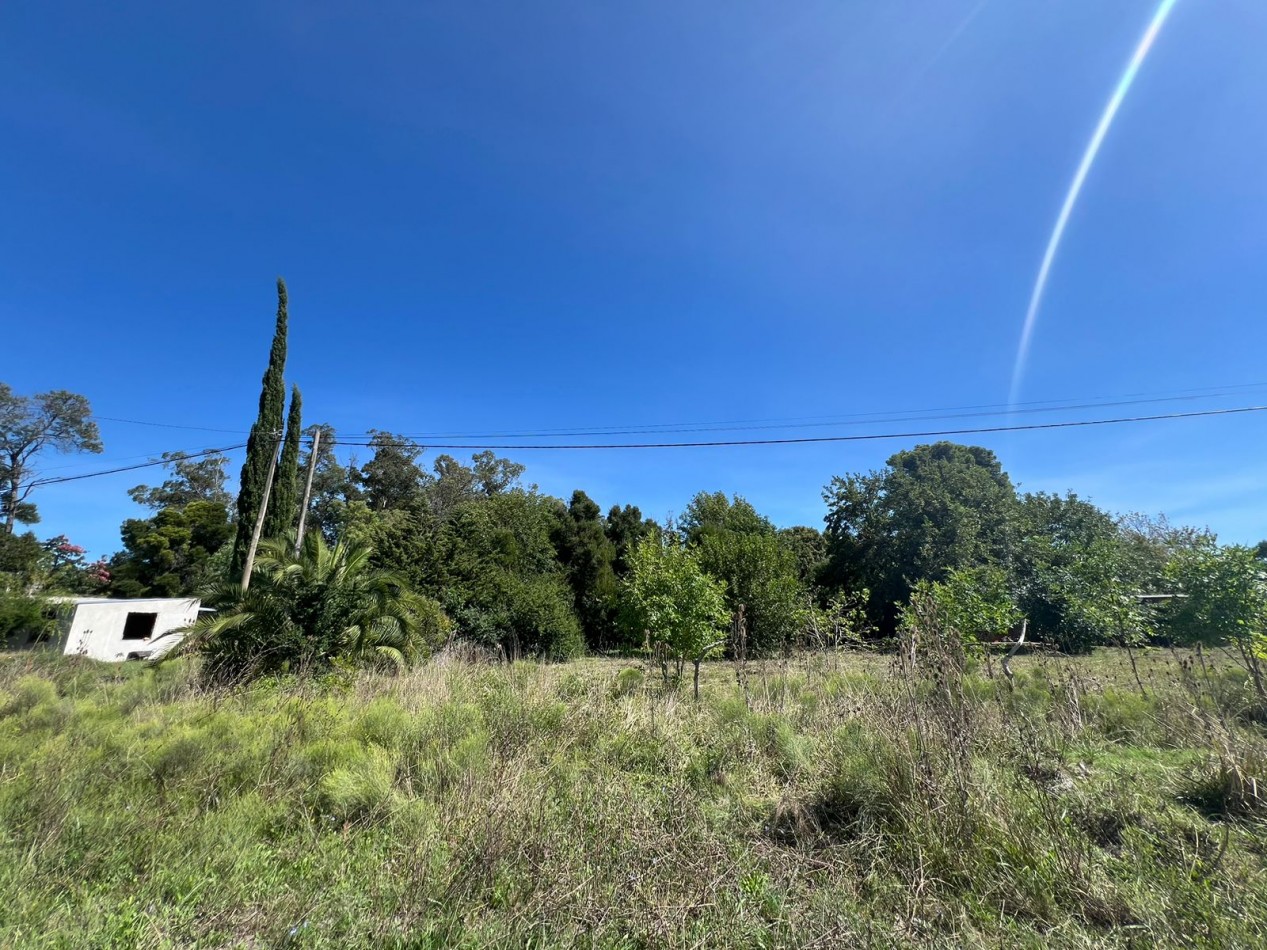VENTA VERONICA LOTE  800m² T-737