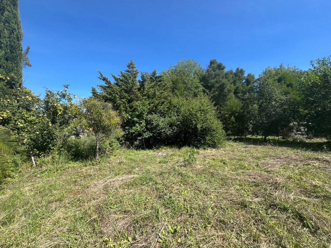 VENTA VERONICA LOTE  800m² T-737