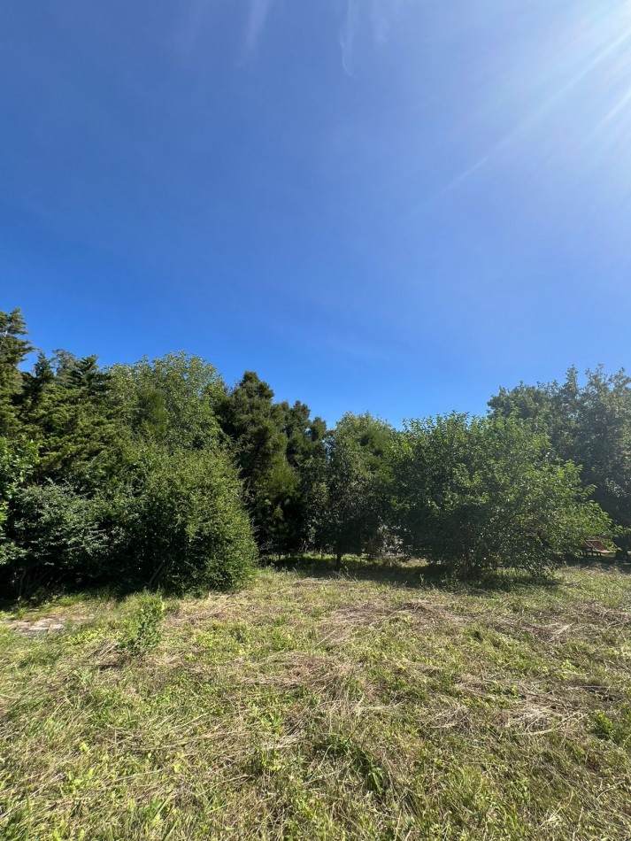VENTA VERONICA LOTE  800m² T-737