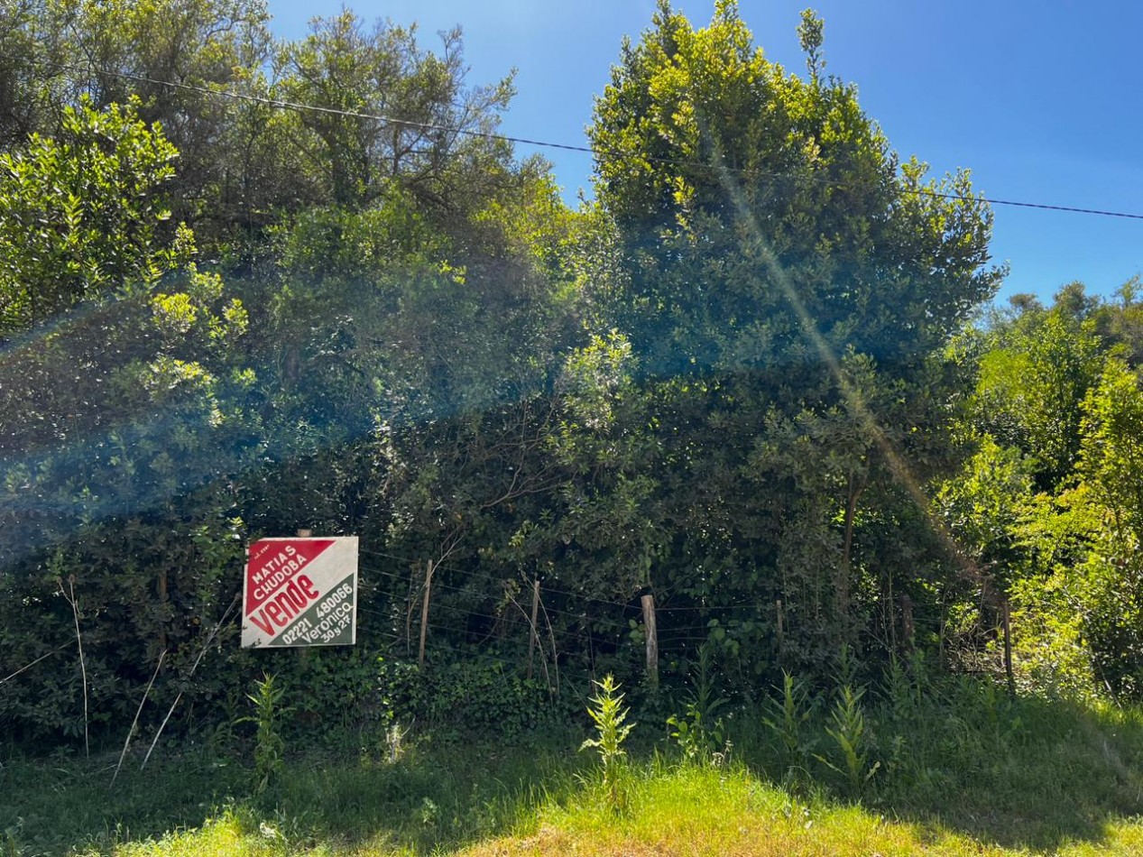 VENTA Lote 1.900 m² en Punta Del Indio T-765