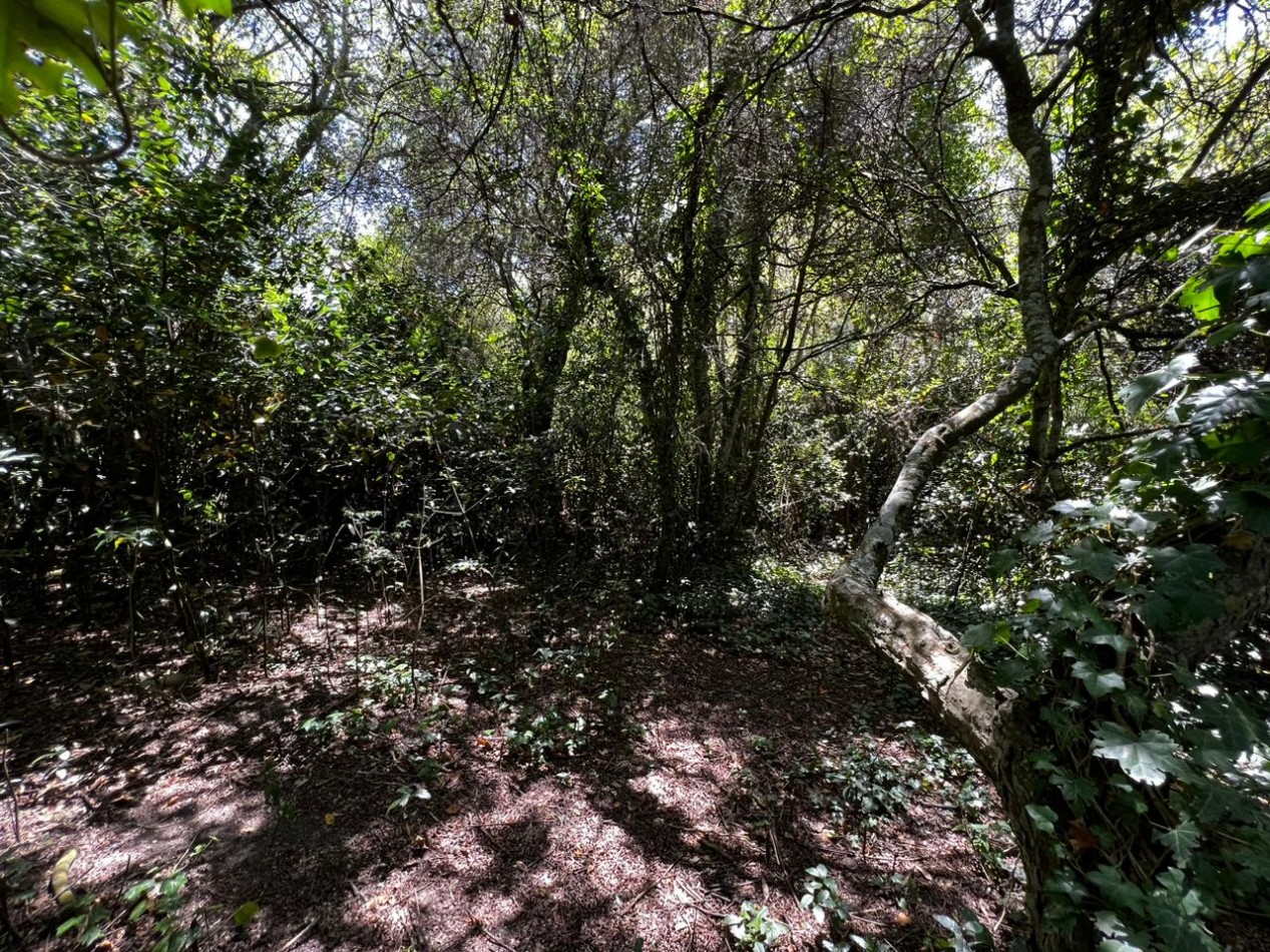 VENTA Lote 1.900 m² en Punta Del Indio T-765