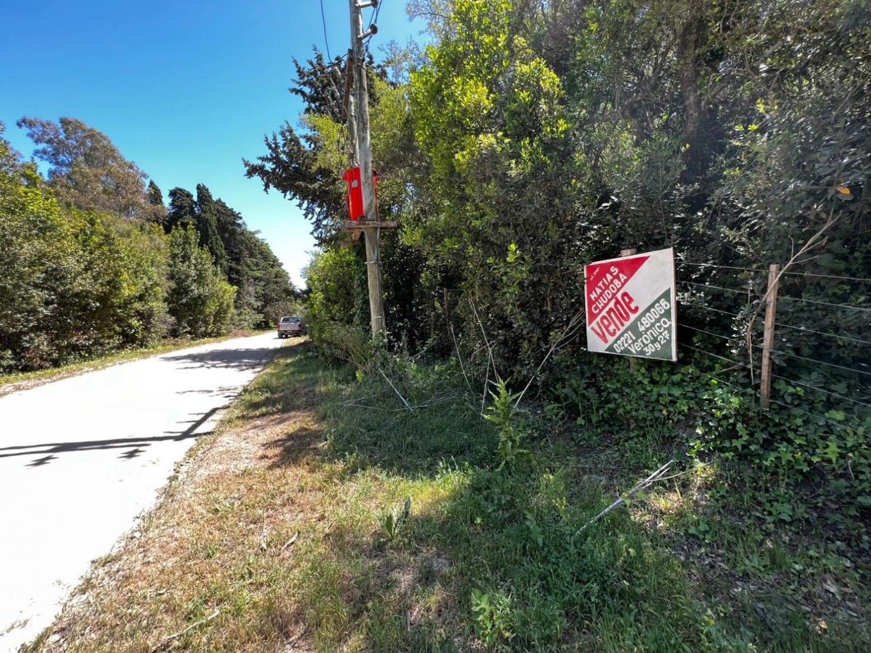 VENTA Lote 1.900 m² en Punta Del Indio T-765
