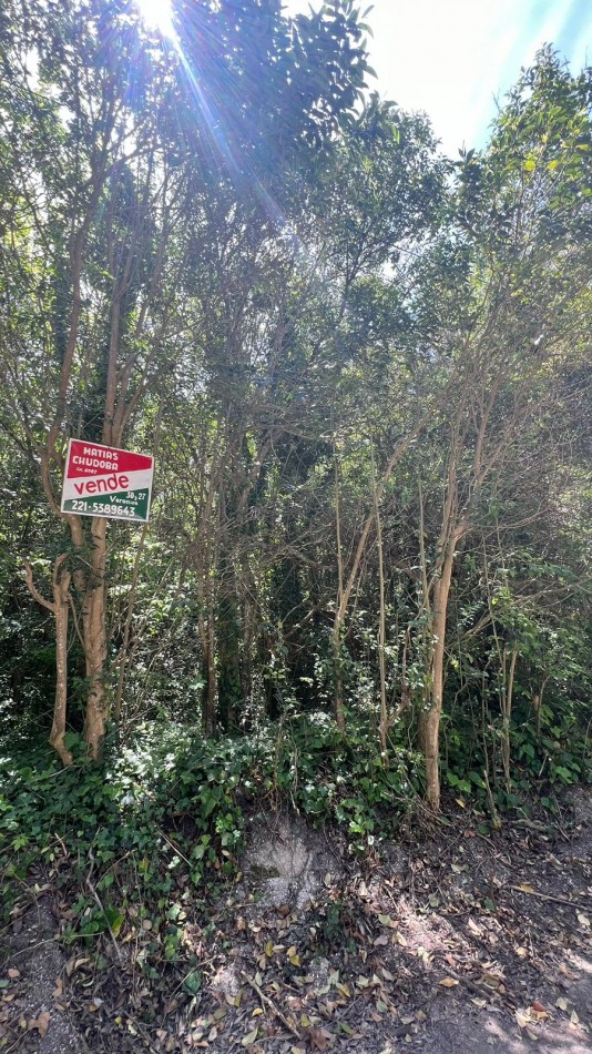 VENTA Lote Arbolado Punta Del Indio T-781