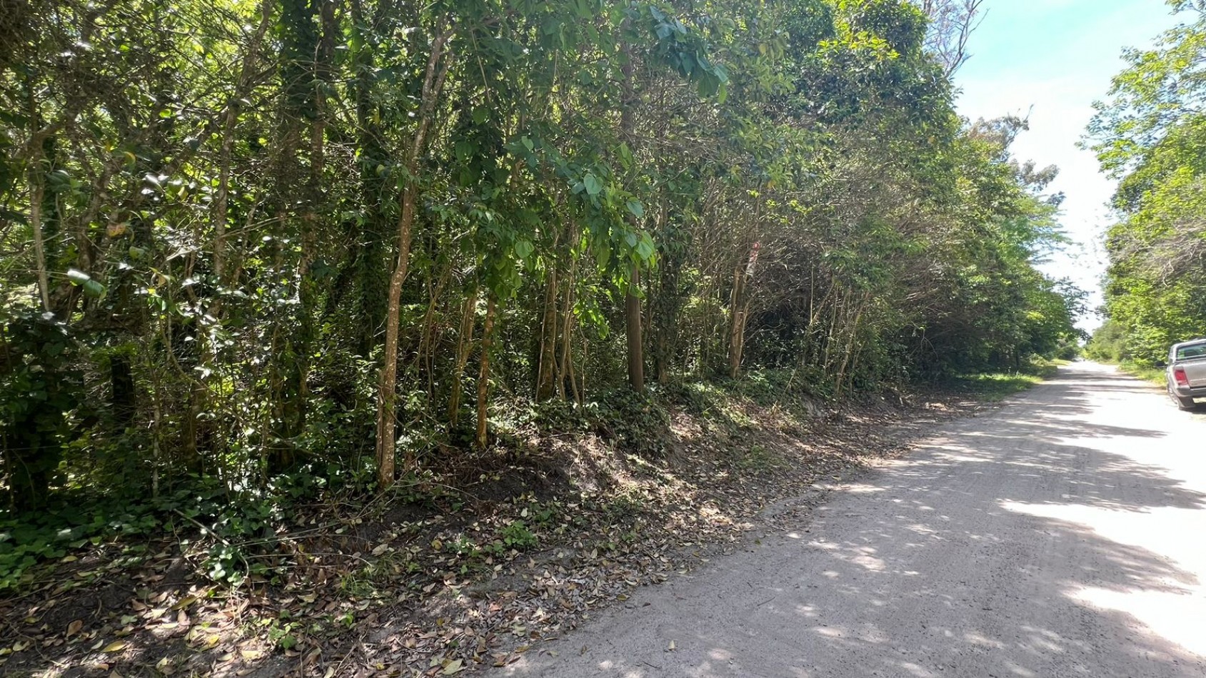 VENTA Lote Arbolado Punta Del Indio T-781