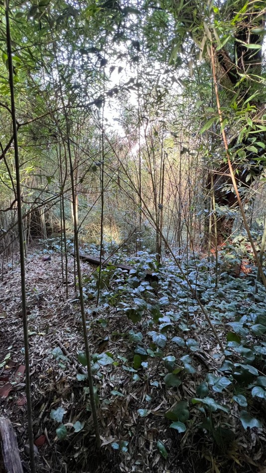 VENTA  Lote 2000m² Punta Del Indio T-1178