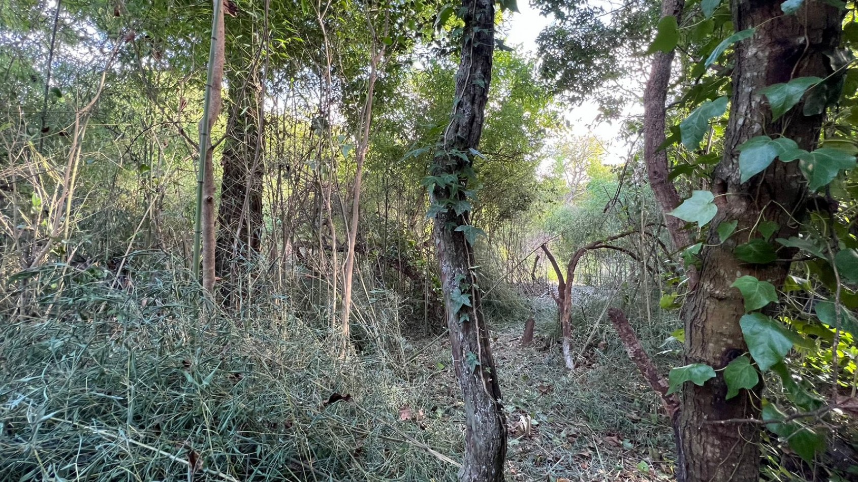 VENTA  Lote 2000m² Punta Del Indio T-1178