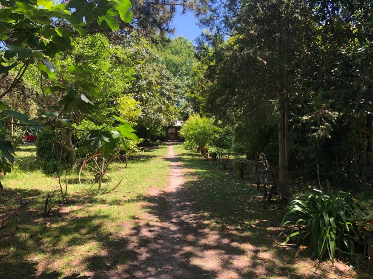 VENTA Casa A Reciclar Veronica - Punta Indio - T-1103