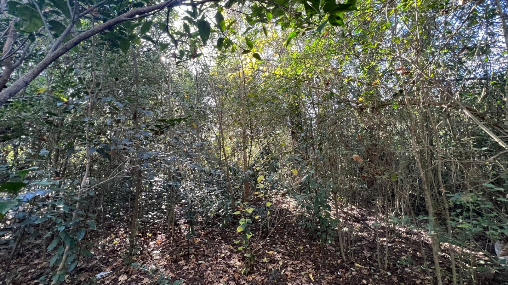 VENTA Casa En Veronica Importante Lote 1200m² K-1160