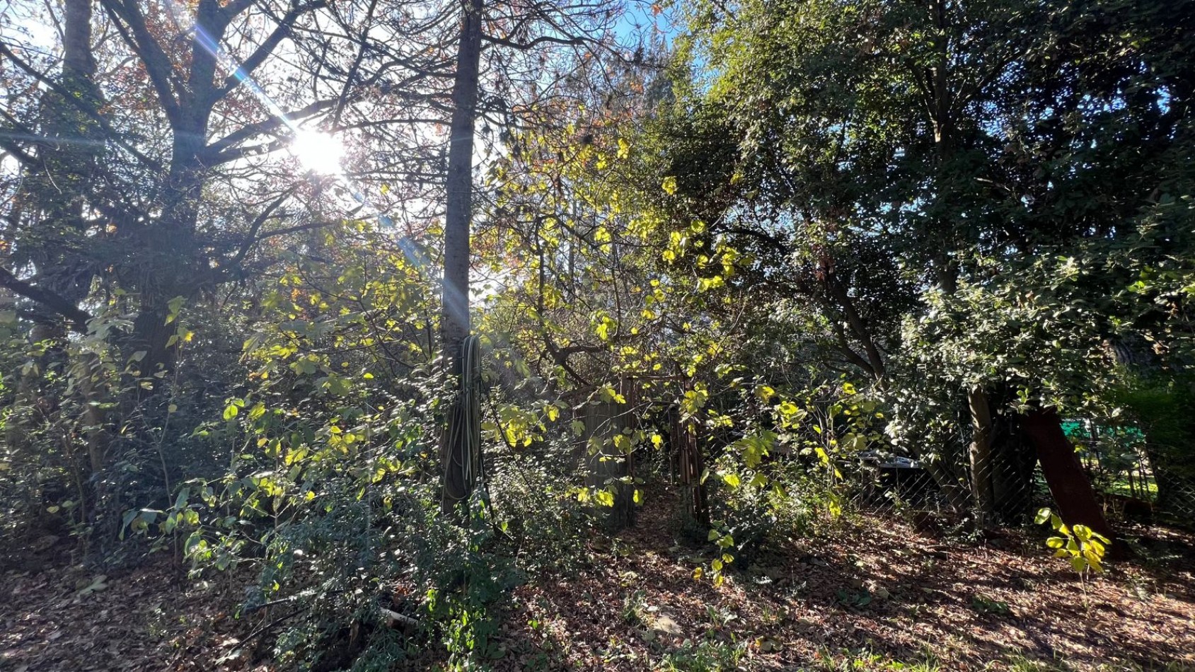 VENTA Casa En Veronica Importante Lote 1200m² K-1160