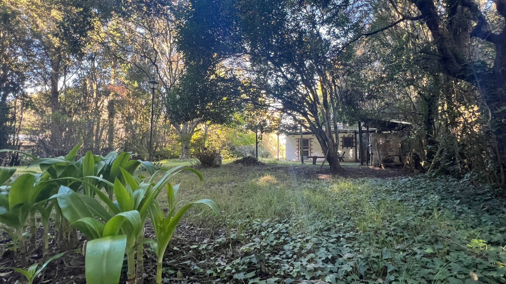 VENTA CASA BAJAMOS EL PRECIO PUNTA INDIO K-1185