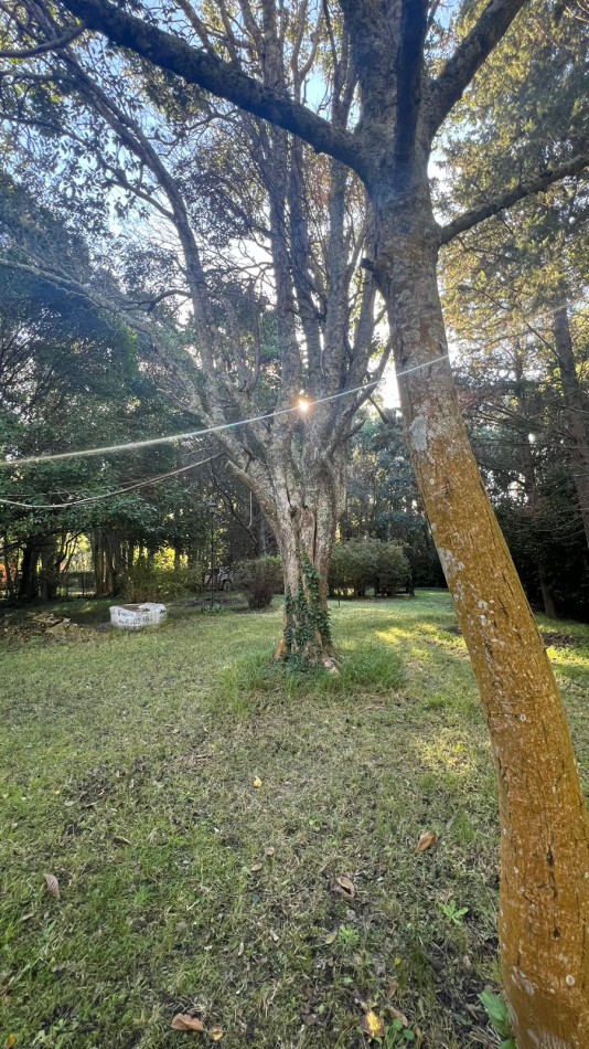 VENTA CASA BAJAMOS EL PRECIO PUNTA INDIO K-1185