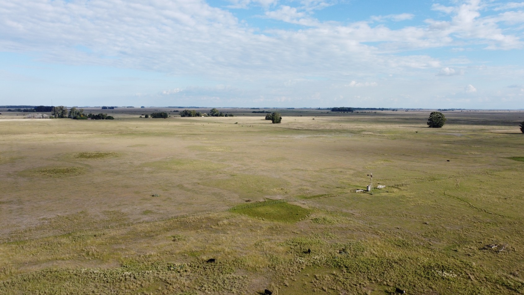CAMPO - VENTA - 58 Has - Veronica - C-169
