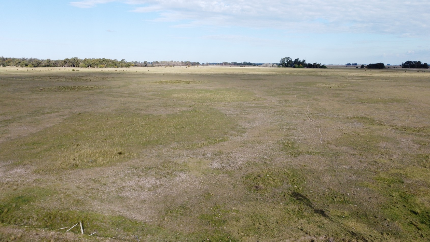 CAMPO - VENTA - 58 Has - Veronica - C-169