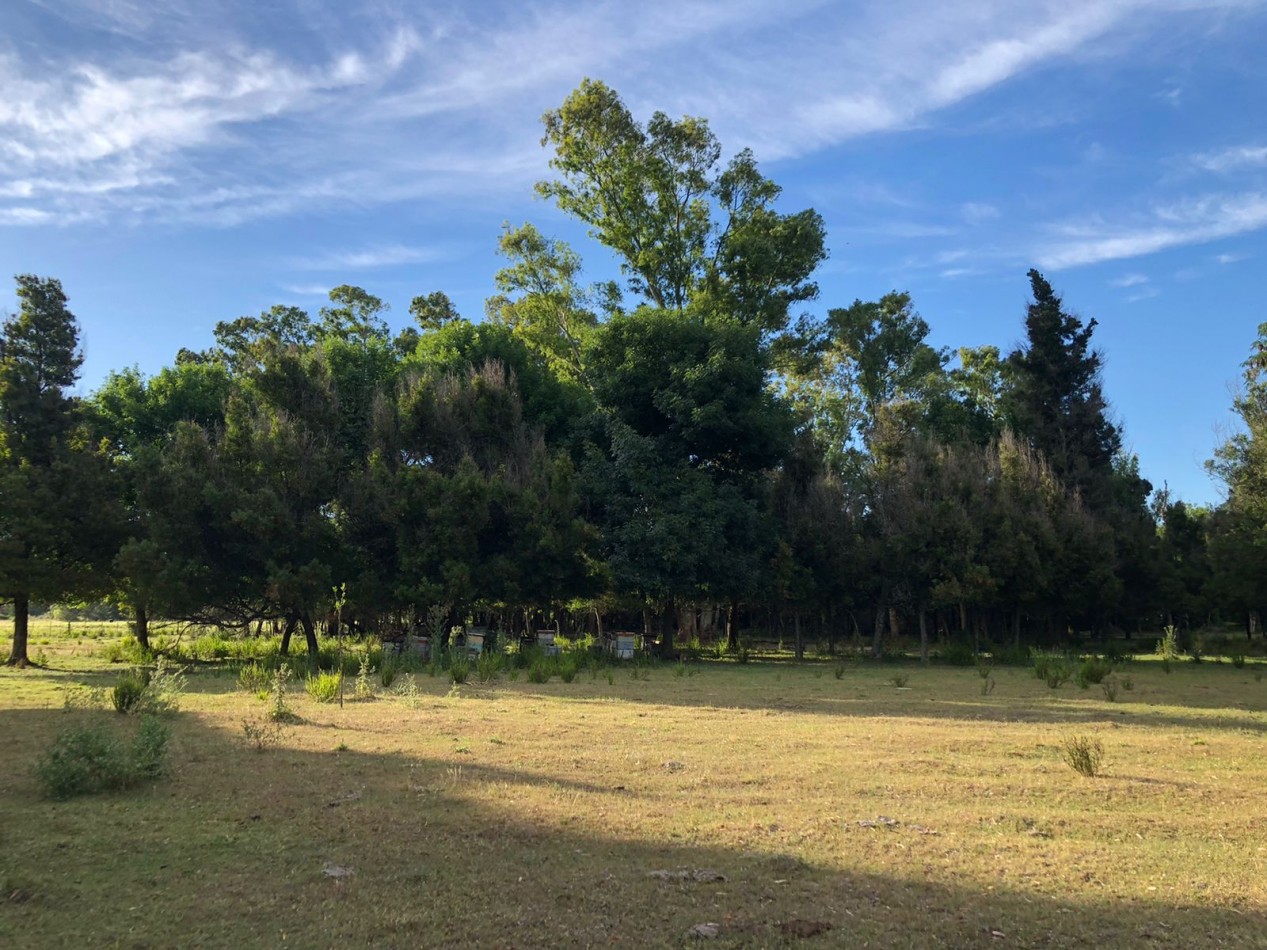 VENTA CASA QUINTA EN VERONICA -  PUNTA INDIO Q-331 