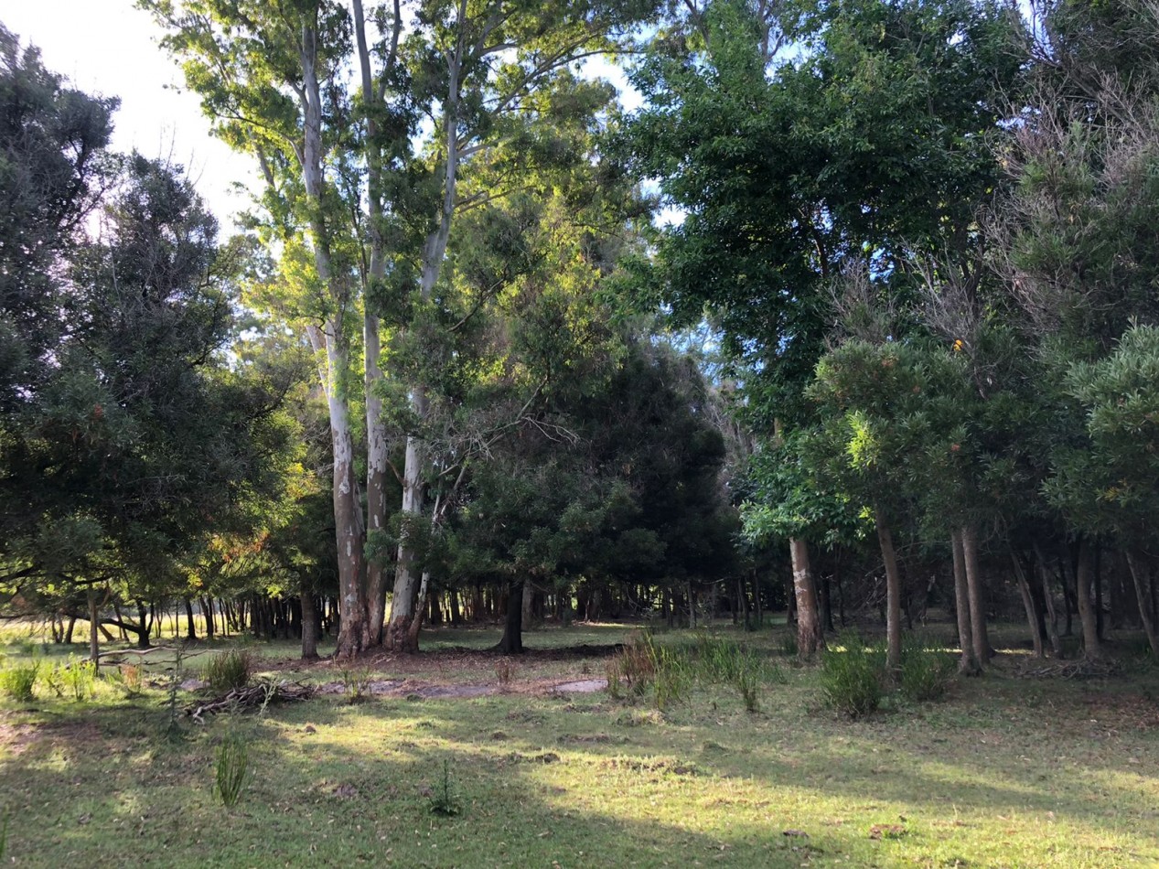 VENTA CASA QUINTA EN VERONICA -  PUNTA INDIO Q-331 