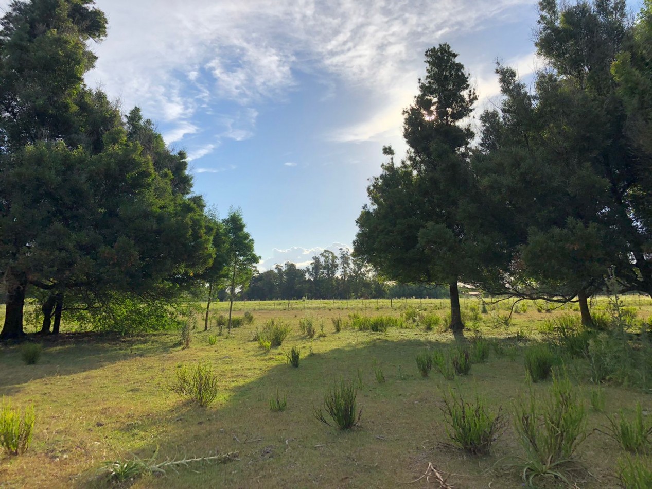 VENTA CASA QUINTA EN VERONICA -  PUNTA INDIO Q-331 