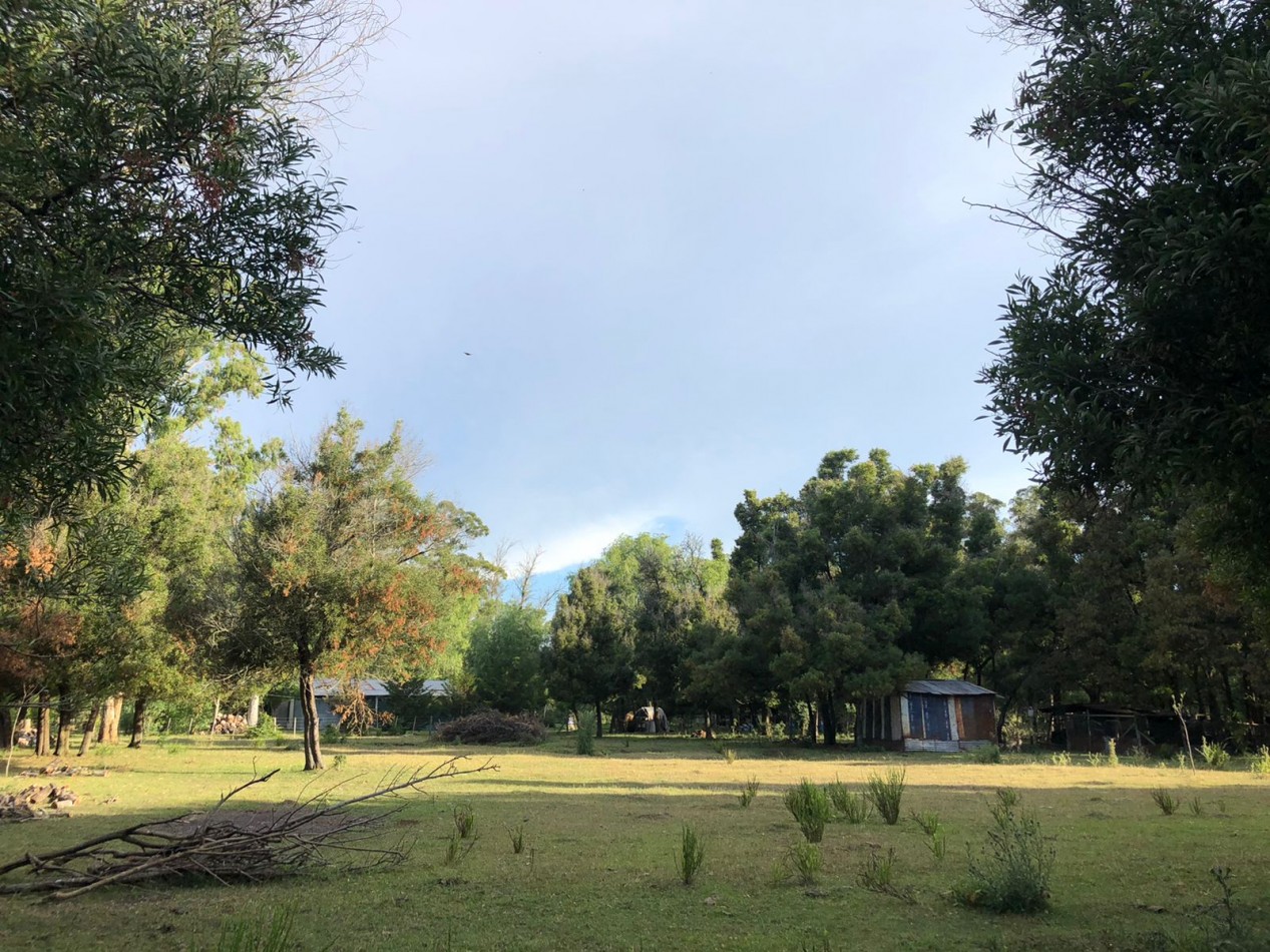 VENTA CASA QUINTA EN VERONICA -  PUNTA INDIO Q-331 