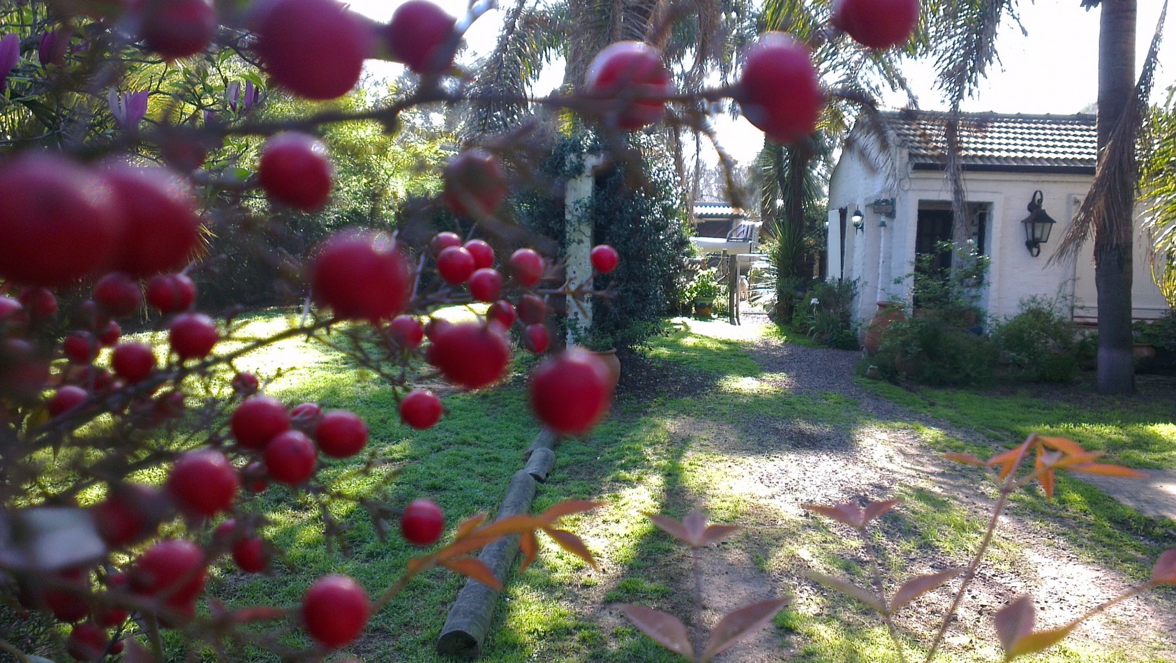CASA QUINTA - VENTA - OPORTUNIDAD!!! 