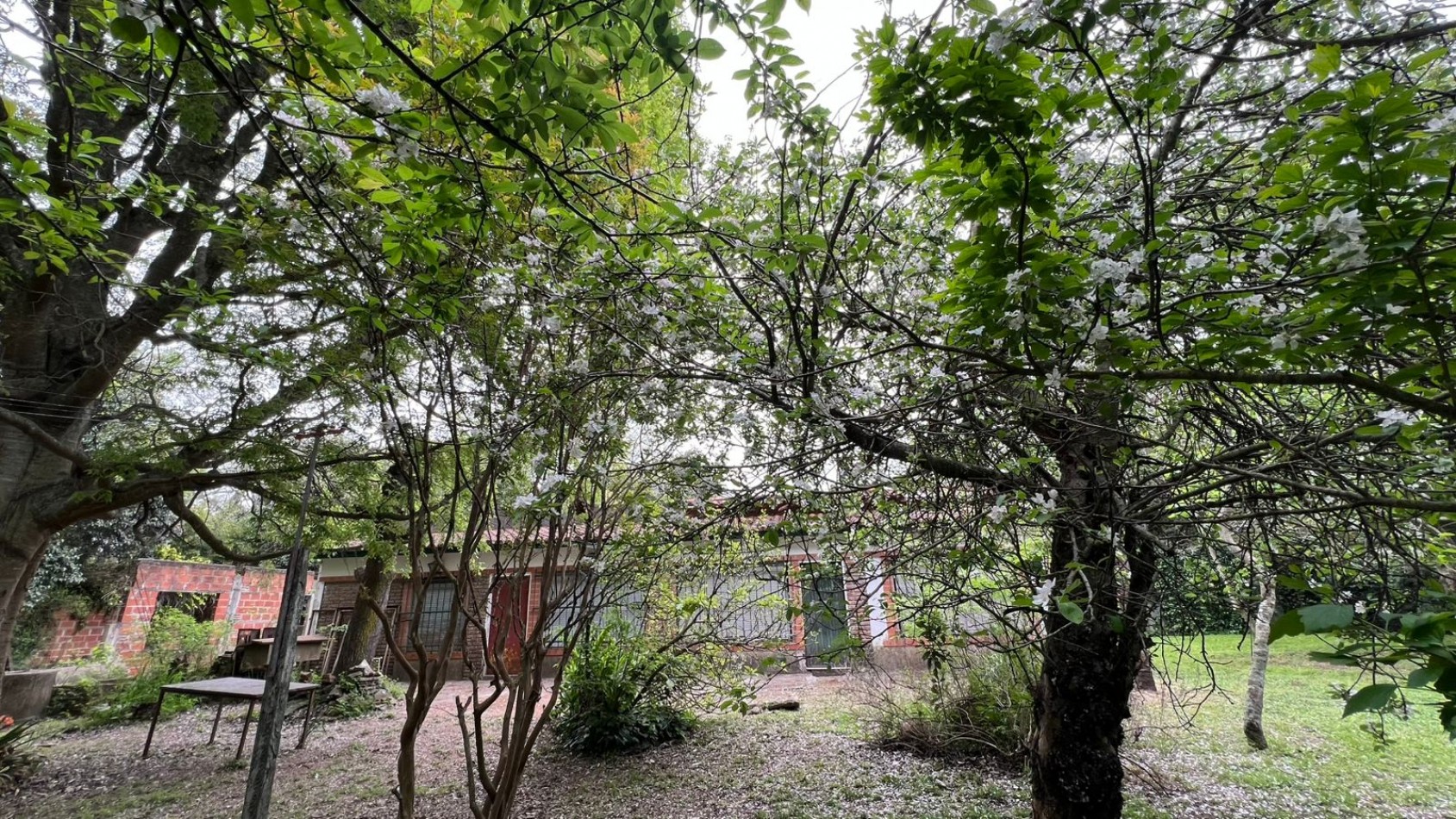Casas y Lotes - VENTA - Punta Indio K-1194/T-794