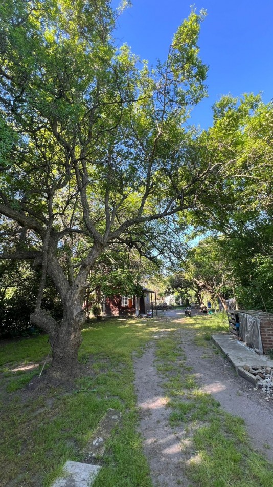  3 DUPLEX + CABAÑA - VENTA - en PUNTA DEL INDIO  (bajamos le precio)