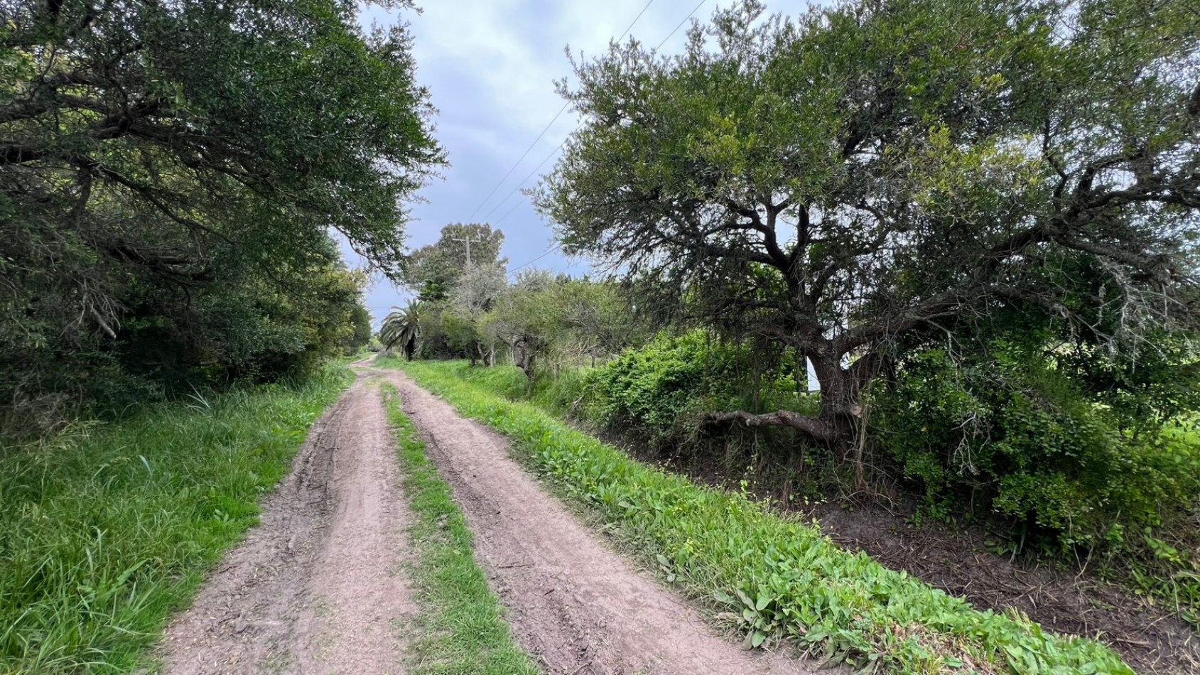 LOTE - VENTA - EN PUNTA DEL INDIO 