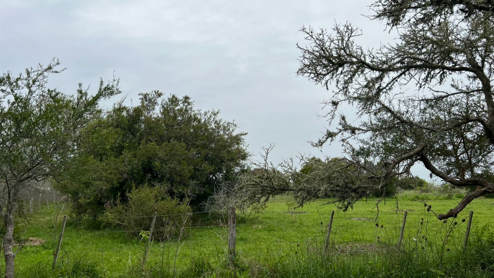 LOTE - VENTA - EN PUNTA DEL INDIO 