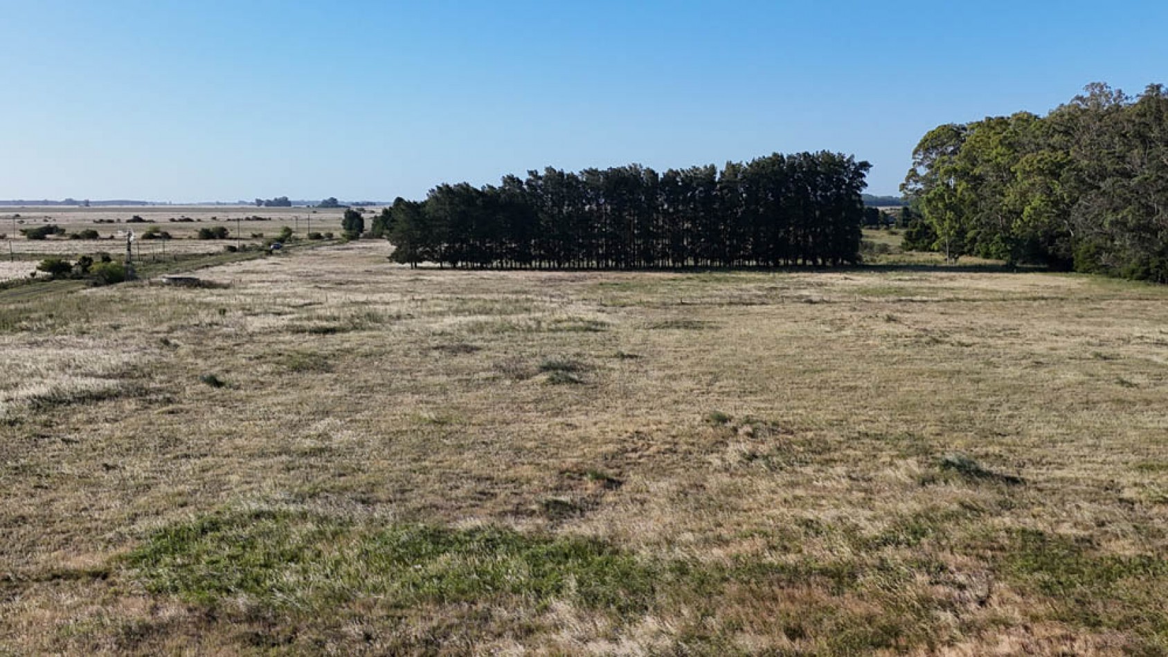 CAMPO - VENTA - 58 Has - Veronica - C-169