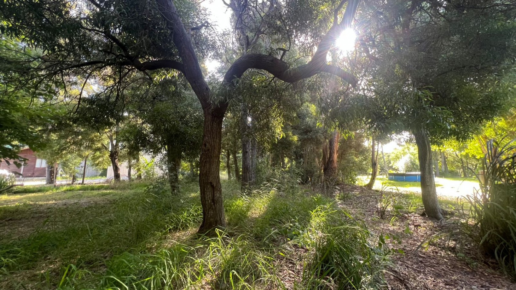 LOTE - VENTA - 844M² en VERONICA T-796