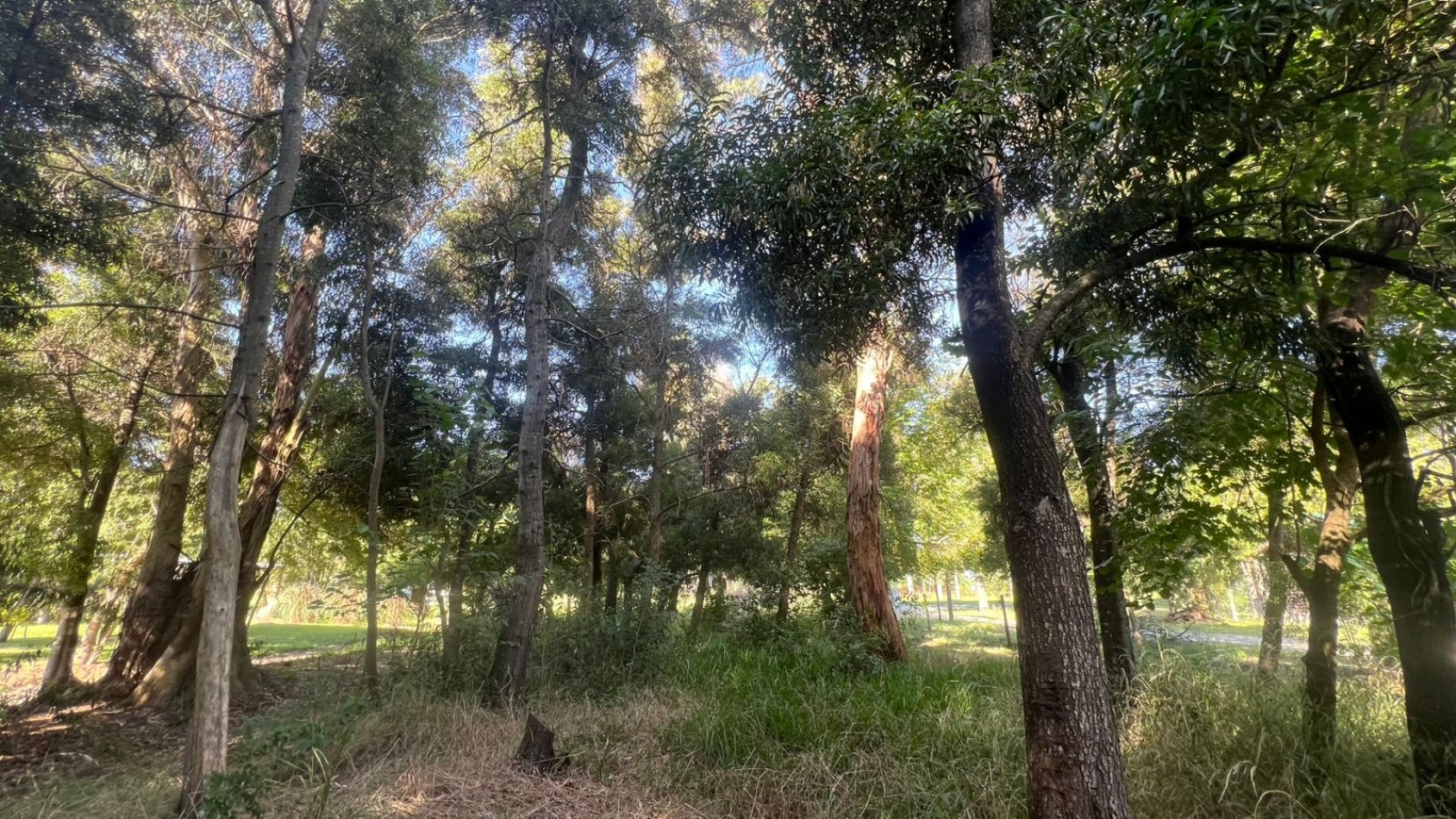 LOTE - VENTA - 844M² en VERONICA T-796