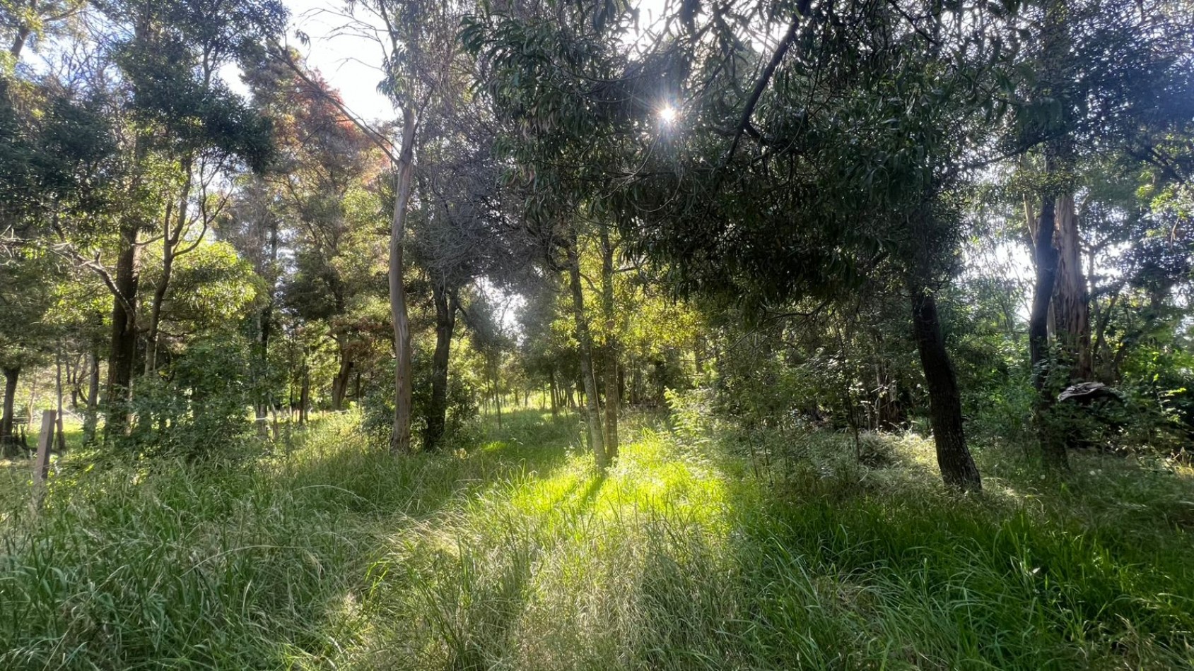 LOTE - VENTA - 844M² en VERONICA T-796