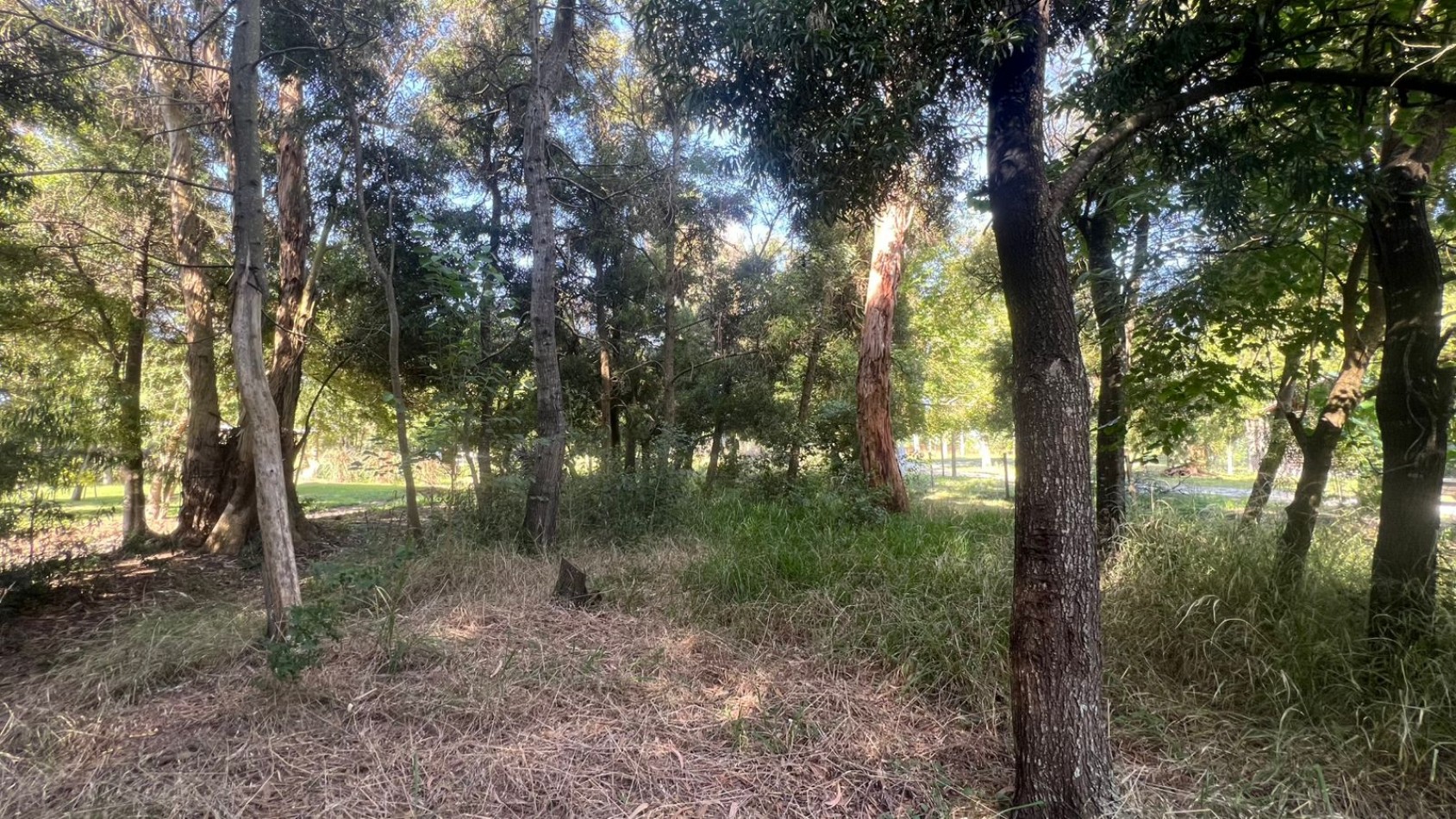 LOTE - VENTA - 844M² en VERONICA T-796