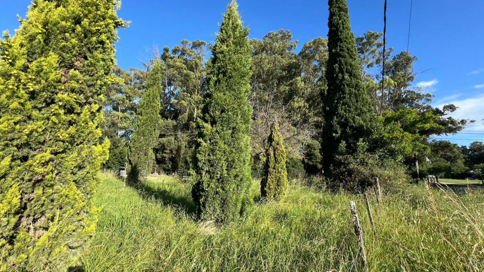 LOTE - VENTA - 798M² VERONICA  T-797