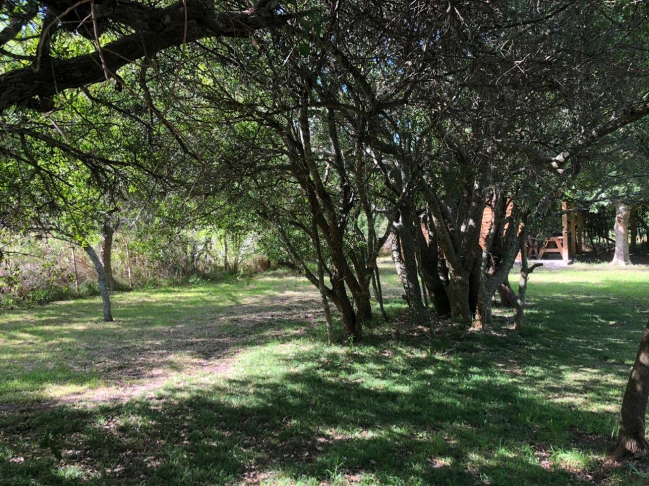 CABAÑAS - VENTA - EN PUNTA INDIO K-1112