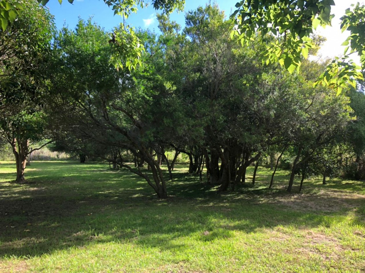 CABAÑAS - VENTA - EN PUNTA INDIO K-1112