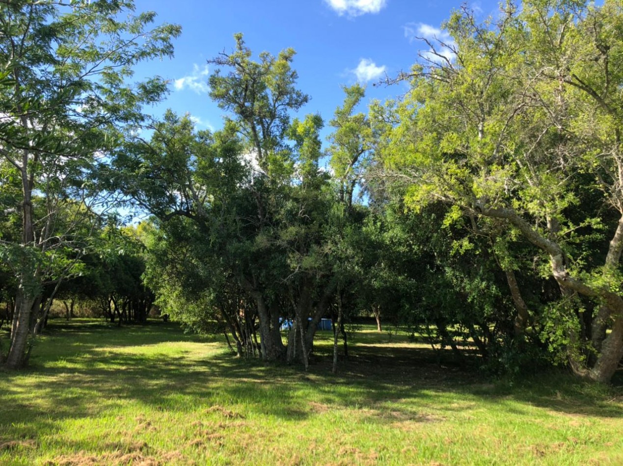 CABAÑAS - VENTA - EN PUNTA INDIO K-1112