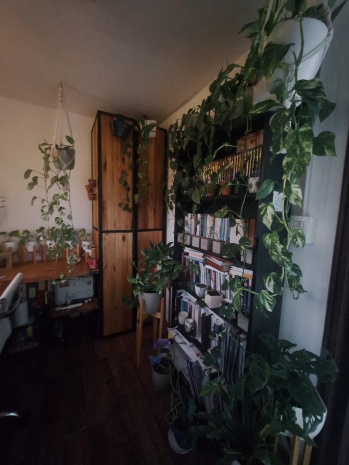 Casa + depto + galpon - VENTA - Punta del Indio K-1198