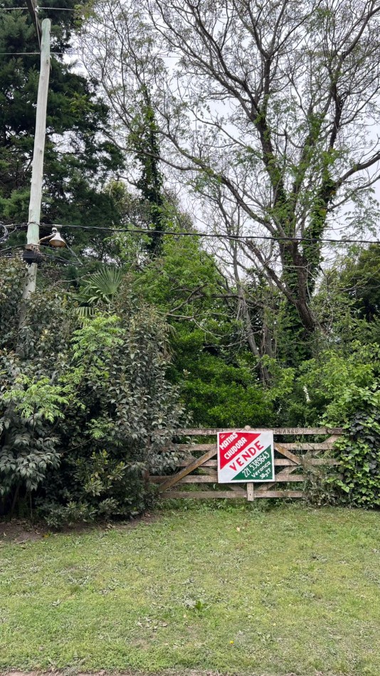 LOTE - VENTA - PUNTA DEL INDIO T-794