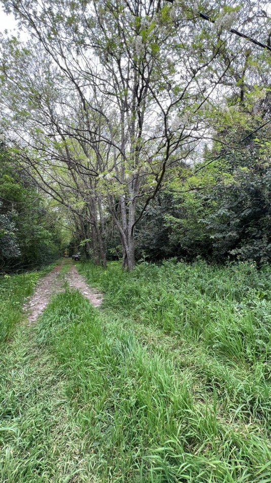 LOTE - VENTA - PUNTA DEL INDIO T-794