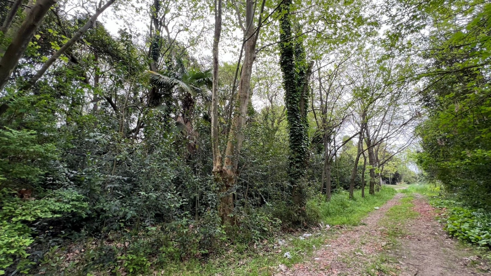 LOTE - VENTA - PUNTA DEL INDIO T-794