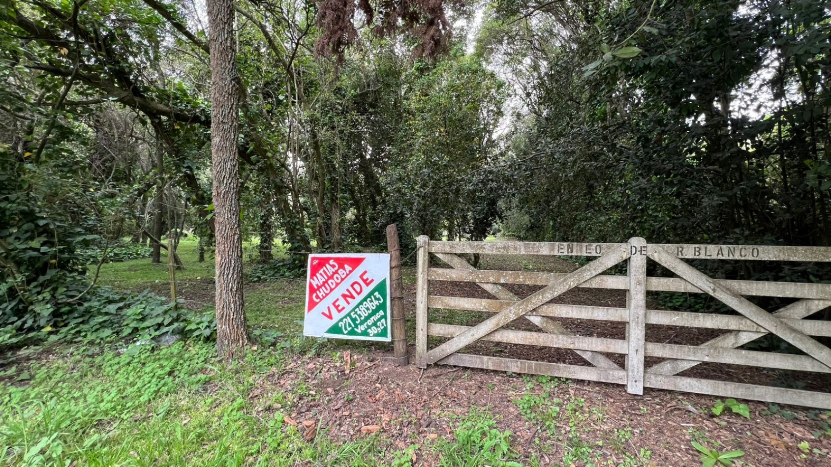 LOTES - VENTA - PUNTA DEL INDIO T-794