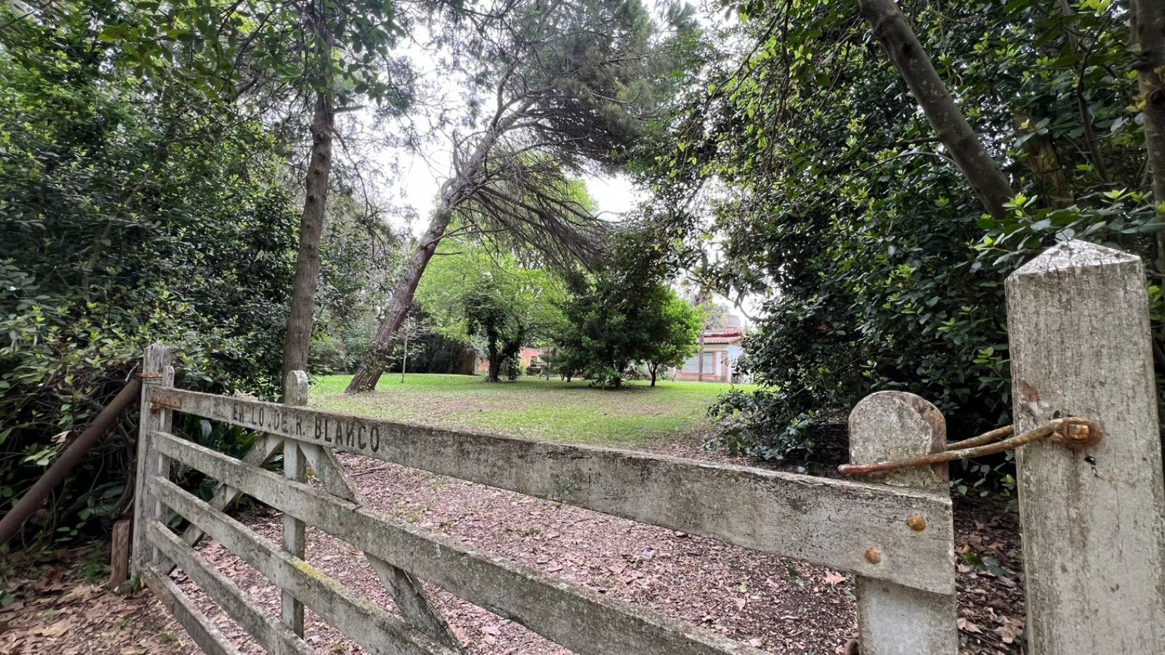 LOTES - VENTA - PUNTA DEL INDIO T-794