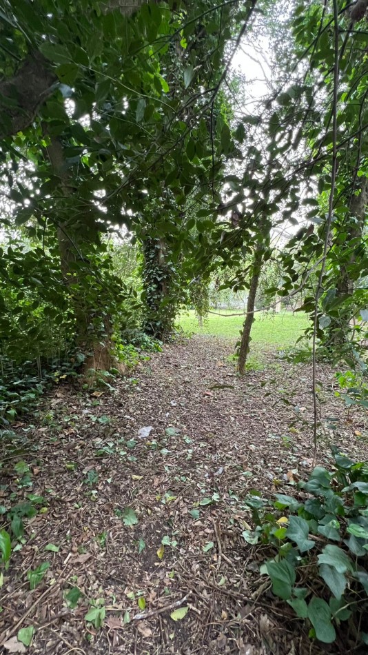 LOTES - VENTA - PUNTA DEL INDIO T-794